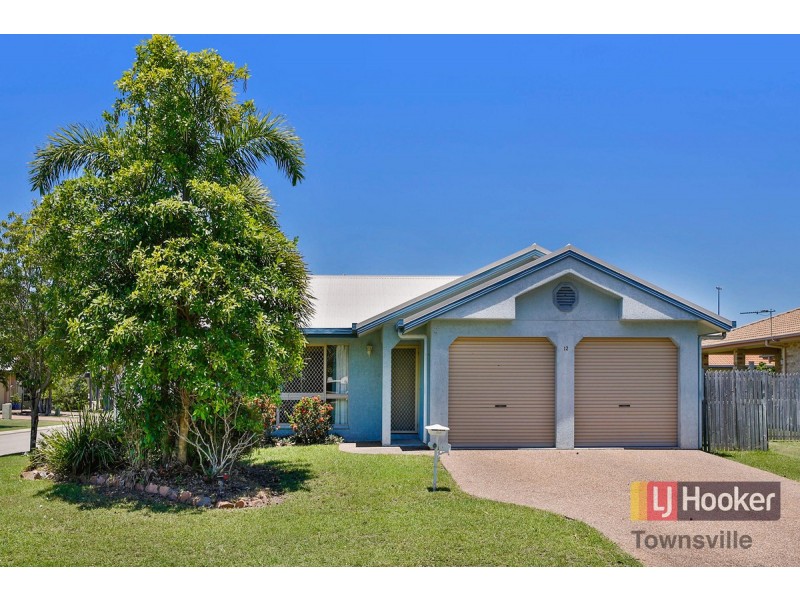 12 Fortunia Lane, Kirwan QLD 4817