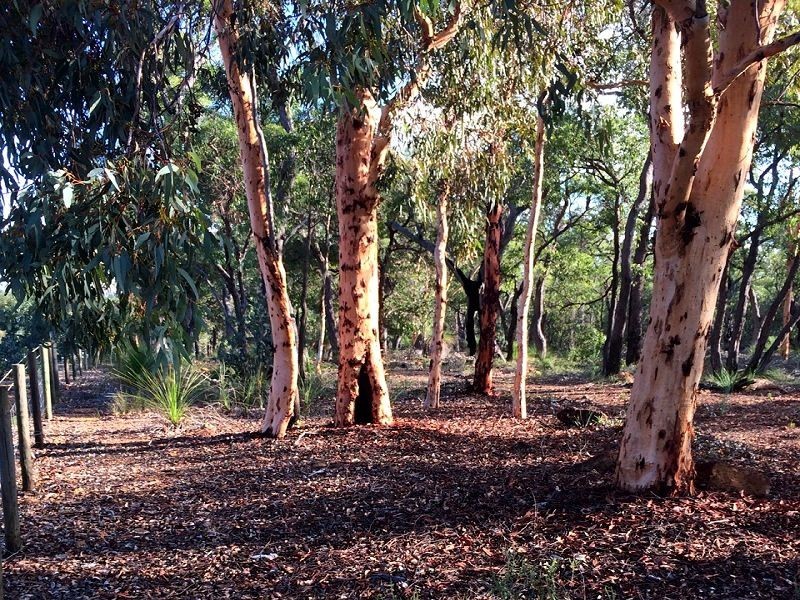 548 Guernsey Rise, Lower Chittering WA 6084