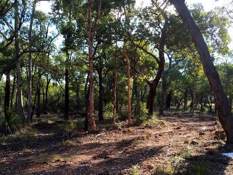 548 Guernsey Rise, Lower Chittering WA 6084