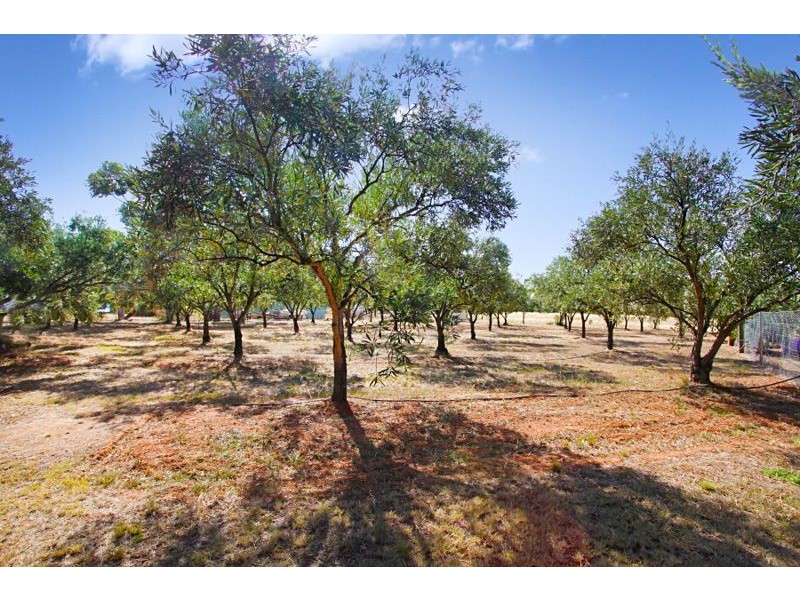 1/7 Djerriwarrh Court, Melton VIC 3337