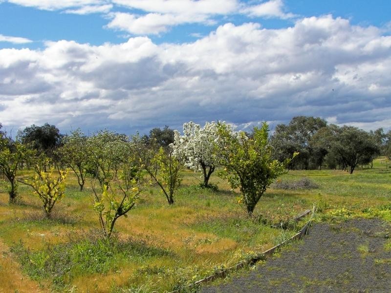 2/7 Djerriwarrh Court, Melton VIC 3337