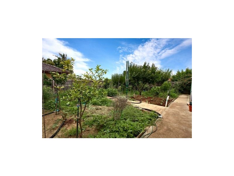 14 Hudson Place, Melton VIC 3337