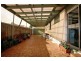 3 Inez Court, Melton VIC 3337