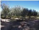 129 Chapman Street, Swan Hill VIC 3585