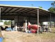 Gumlu QLD 4805