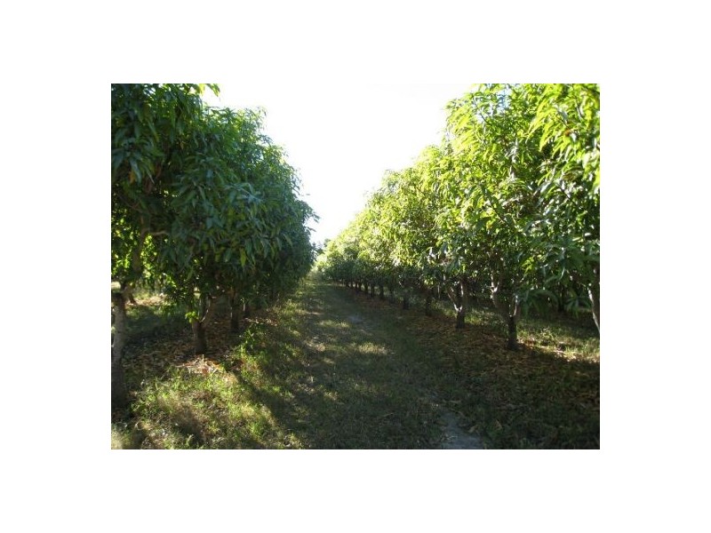 Gumlu QLD 4805