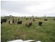 Ayr QLD 4807