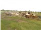 Ayr QLD 4807