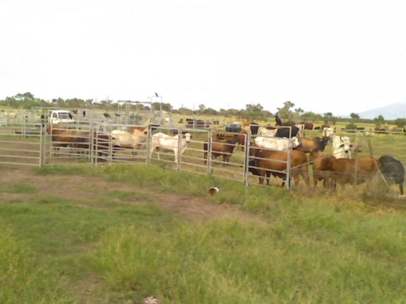 Ayr QLD 4807