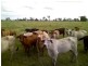 Ayr QLD 4807