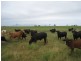 Ayr QLD 4807