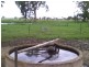 Ayr QLD 4807