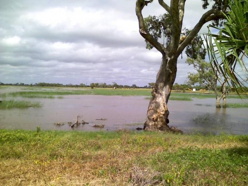 Ayr QLD 4807