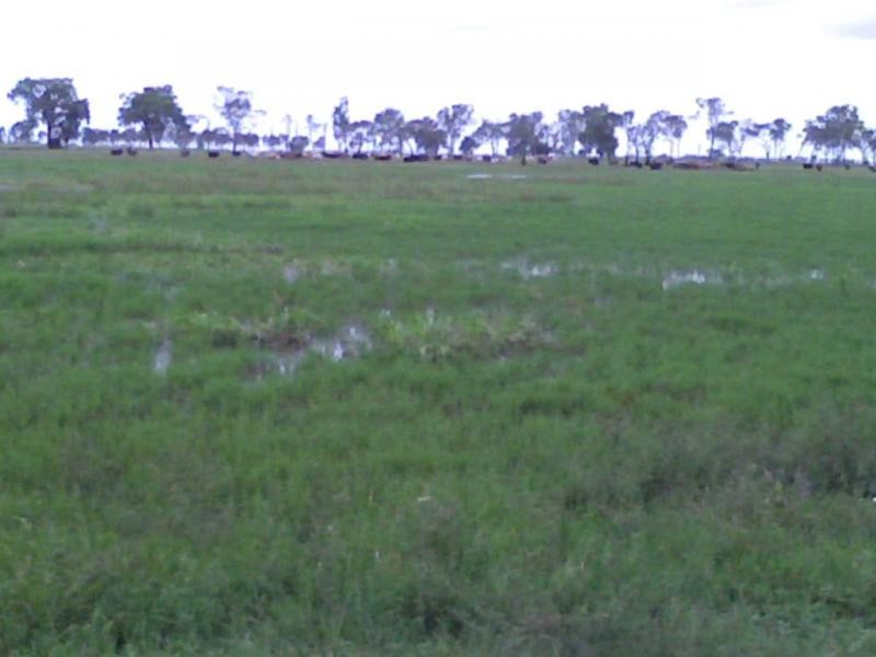 Ayr QLD 4807