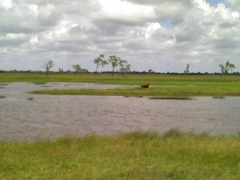 Ayr QLD 4807