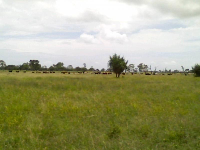 Ayr QLD 4807