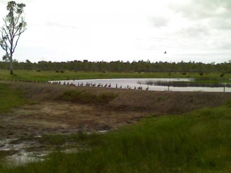 Ayr QLD 4807