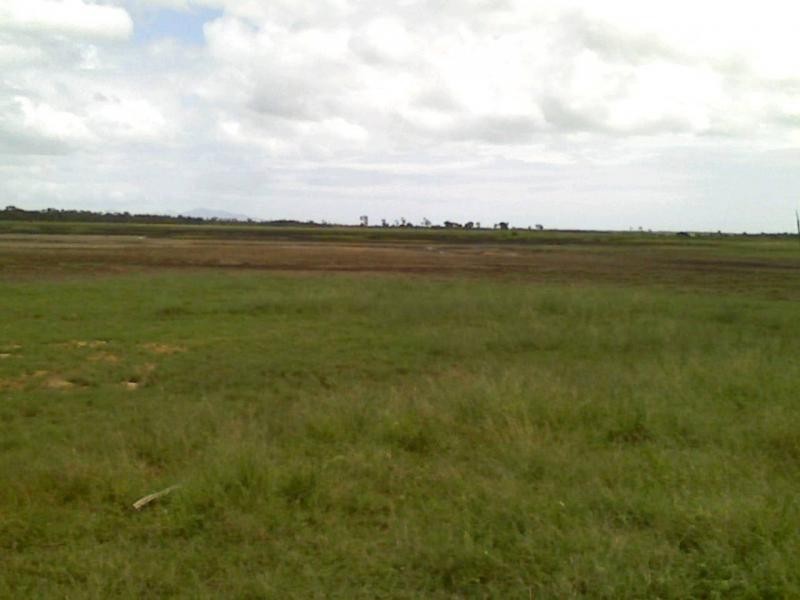 Ayr QLD 4807