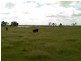 Ayr QLD 4807
