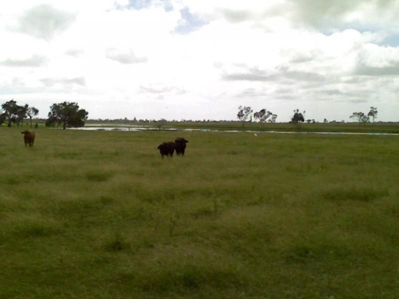 Ayr QLD 4807