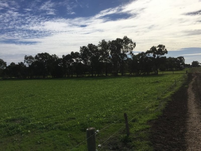 196 Kervin’s Road, Cohuna VIC 3568