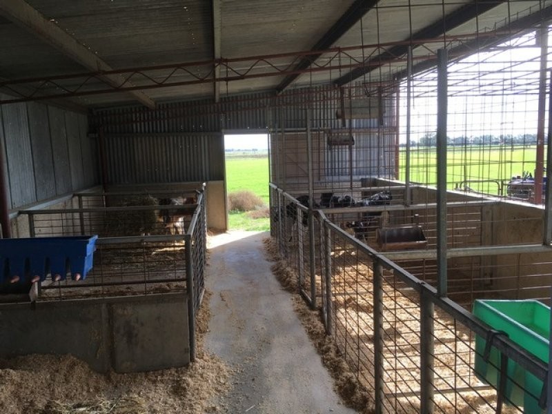 196 Kervin’s Road, Cohuna VIC 3568