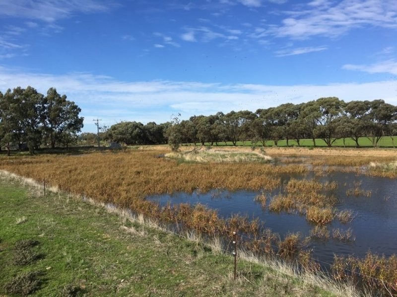 196 Kervin’s Road, Cohuna VIC 3568