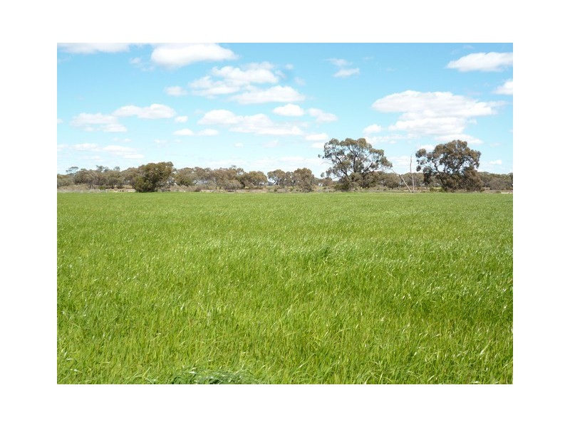 Carwardines Road, Cohuna VIC 3568