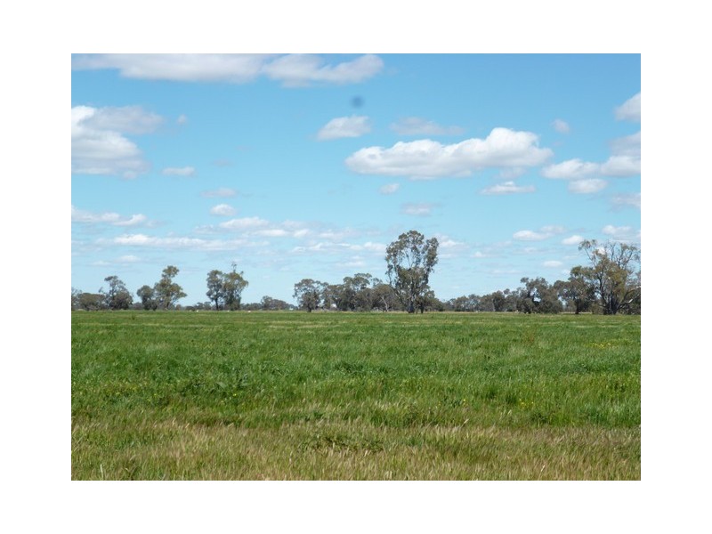 Carwardines Road, Cohuna VIC 3568