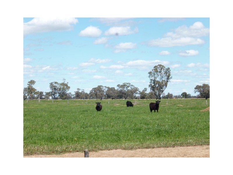 Carwardines Road, Cohuna VIC 3568