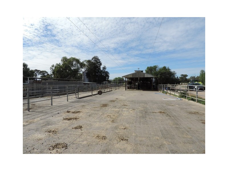 125 Island School Road, Gunbower VIC 3566