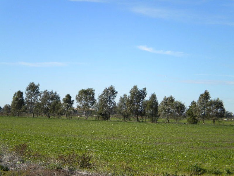 1334 Koroop Road, Cohuna VIC 3568