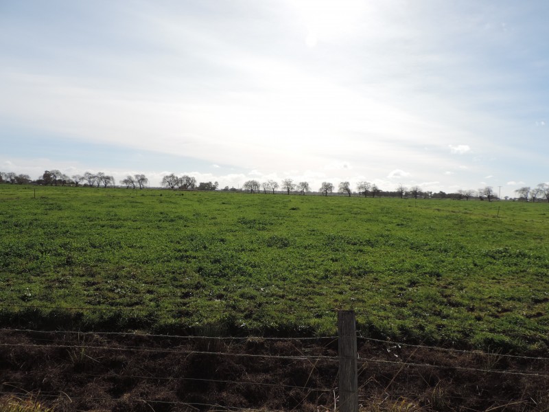 2182 Kerang Koondrook Road, Kerang VIC 3579