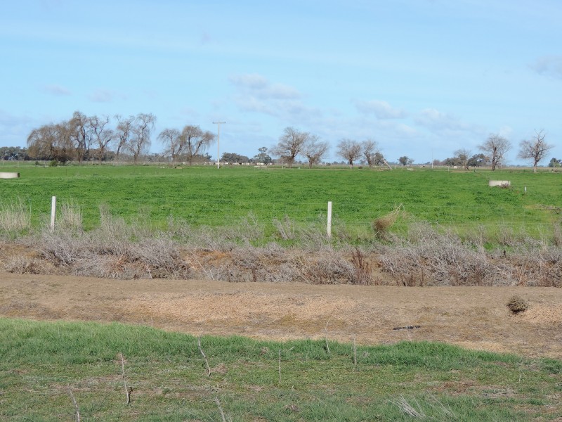 2182 Kerang Koondrook Road, Kerang VIC 3579