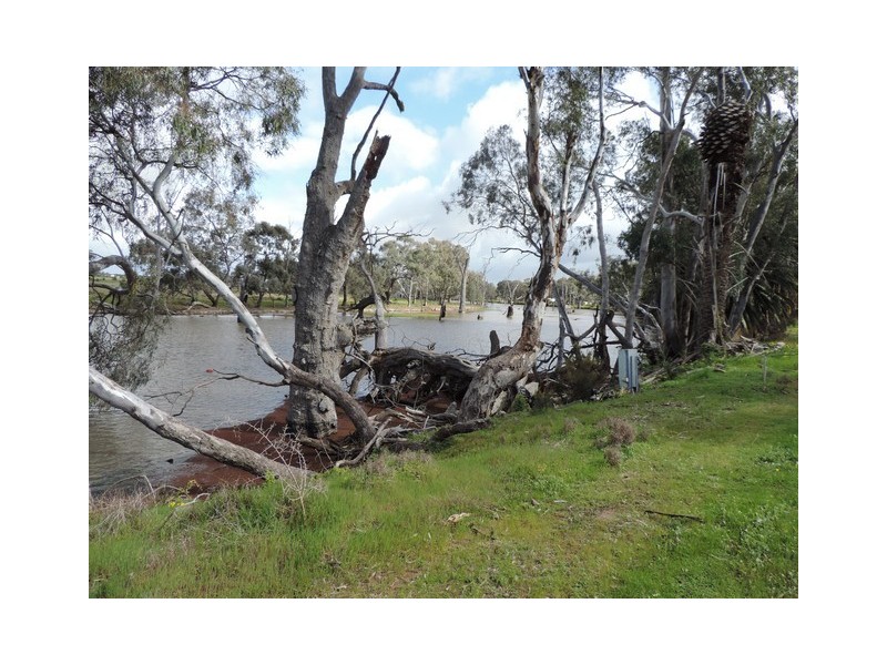 48 Pavone Road, Gunbower VIC 3566