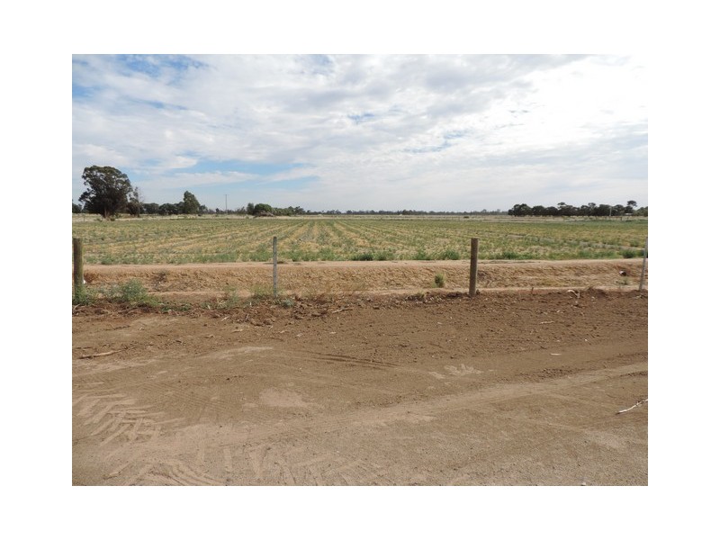 55 Thompson Road, Teal Point VIC 3579