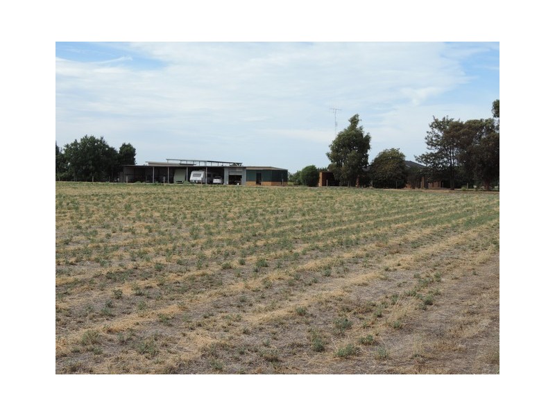 55 Thompson Road, Teal Point VIC 3579