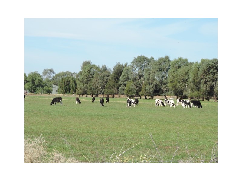 8 Thompsons Weir Road, Leitchville VIC 3567