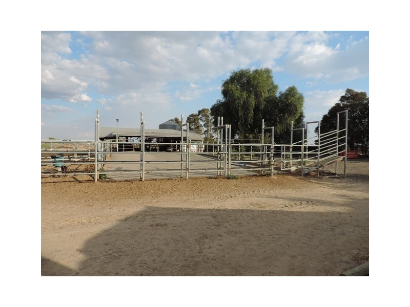 8 Thompsons Weir Road, Leitchville VIC 3567