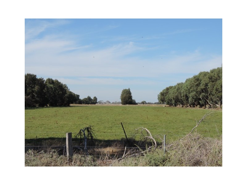 8 Thompsons Weir Road, Leitchville VIC 3567