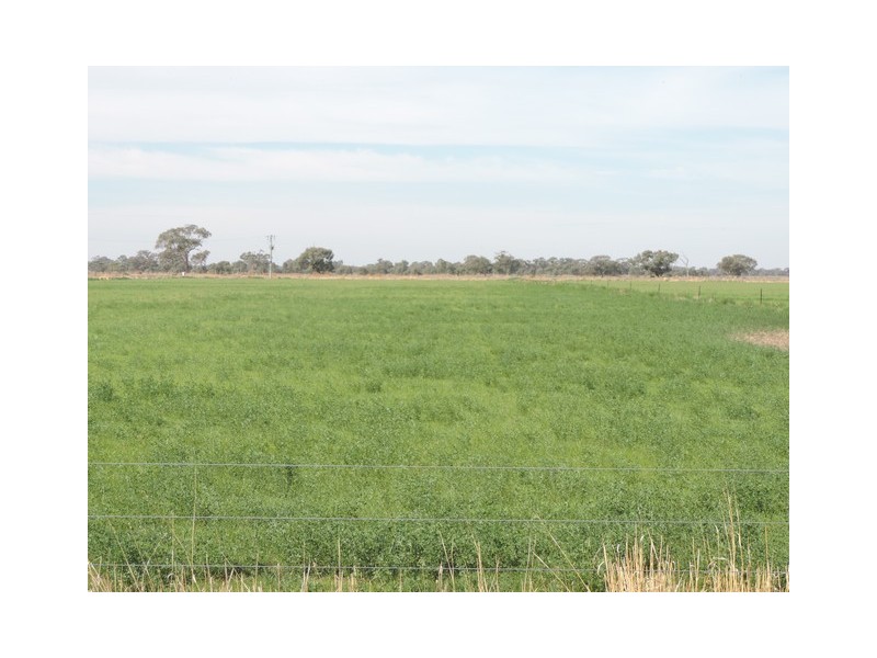 8 Thompsons Weir Road, Leitchville VIC 3567