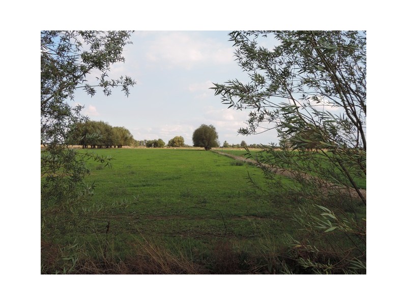 8 Thompsons Weir Road, Leitchville VIC 3567