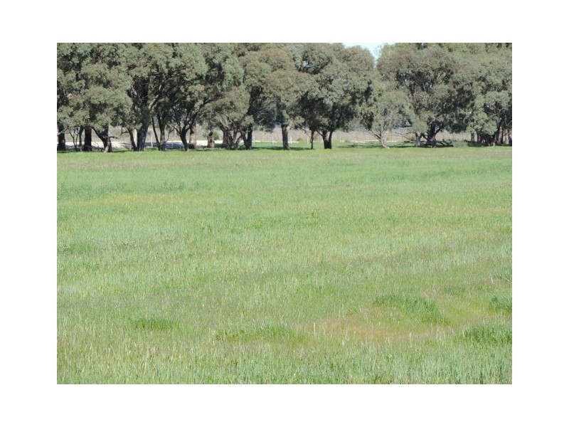 13 McPhail Road, Kerang VIC 3579