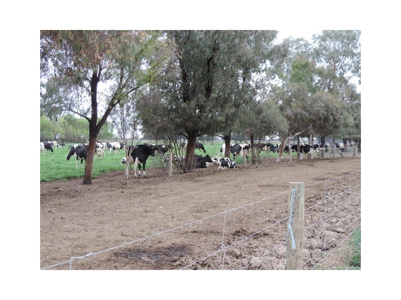 25 Drydens Road, Cohuna VIC 3568