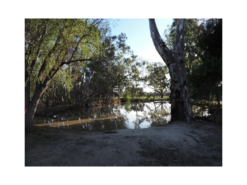 64 Richardsons Road, Daltons Bridge VIC 3568