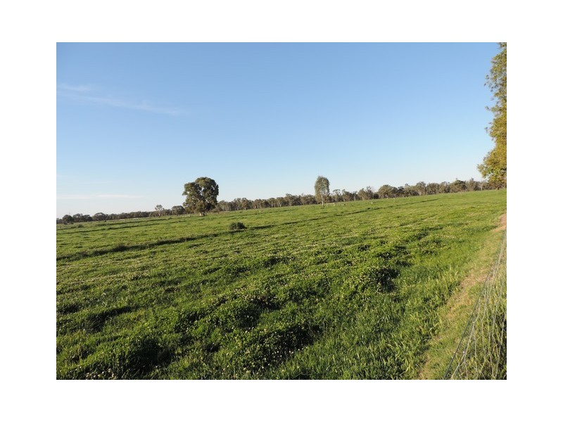 63 Richardsons Road, Cohuna VIC 3568