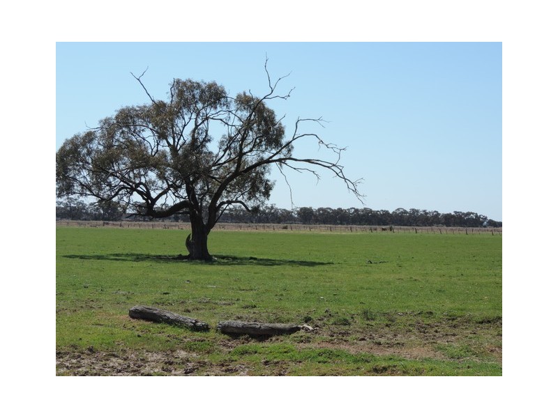 108 Lyons Road, Milnes Bridge VIC 3579