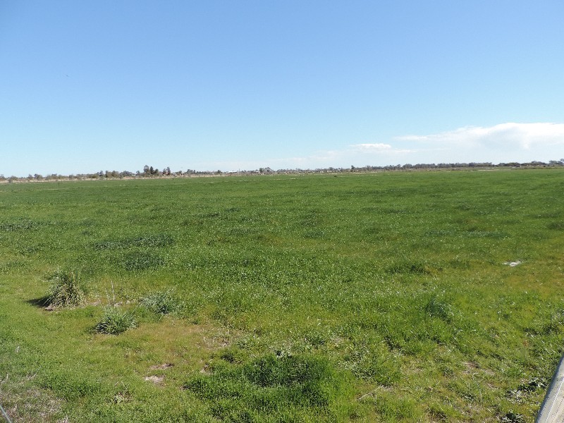 223 Keely Station Road, Keely VIC 3568