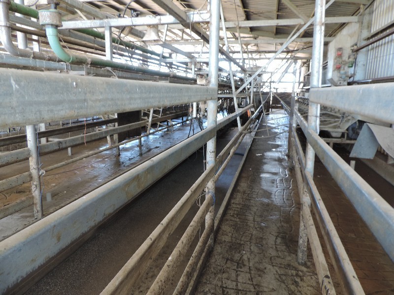 223 Keely Station Road, Keely VIC 3568