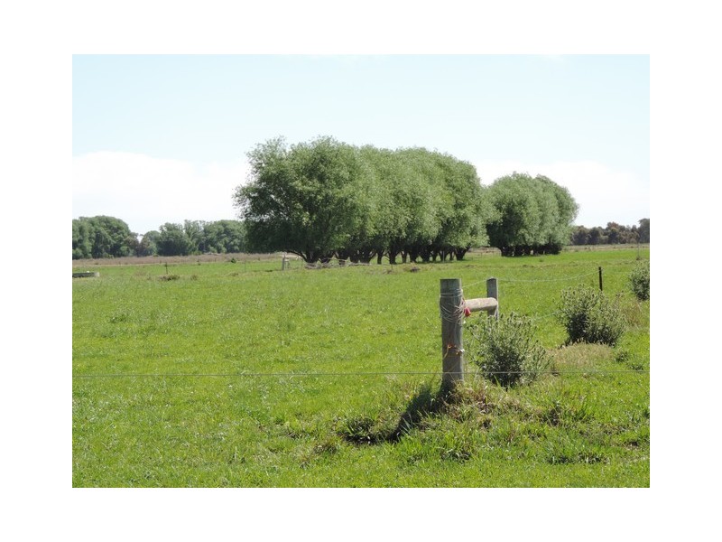 379 Kervins Road, Cohuna VIC 3568